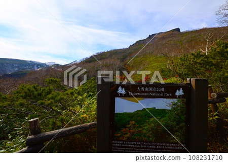熾熱的秋天，錦秋的北海道，十月，層雲峽的秋葉，黑岳索道，乘索道攀登黑岳，紅黃色的秋葉 108231710