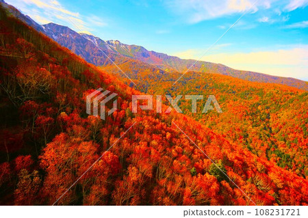 Blazing autumn, Hokkaido in brocade autumn, October, autumn leaves in Sounkyo, Mt. Kurodake ropeway, Mt. Kurodake climbed by ropeway, red-yellow autumn leaves 108231721