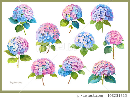 Hydrangea material set 108231813