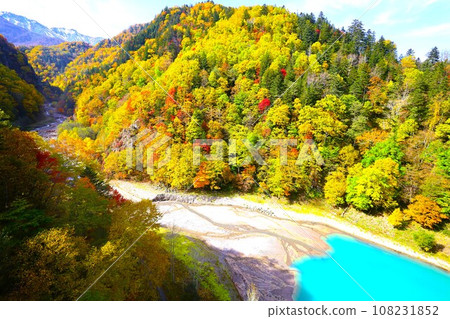 Blazing autumn, Hokkaido in brocade autumn, October, autumn leaves in Sounkyo, Mt. Kurodake ropeway, Mt. Kurodake climbed by ropeway, red-yellow autumn leaves 108231852