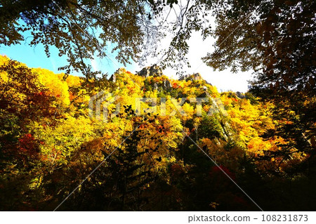 Blazing autumn, Hokkaido in brocade autumn, October, autumn leaves in Sounkyo, Mt. Kurodake ropeway, Mt. Kurodake climbed by ropeway, red-yellow autumn leaves 108231873