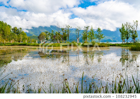Luo Lake 108232945