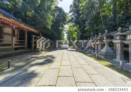 Iwashimizu Hachimangu Shrine - Stone-paved approach leading straight from Sannotorii (Yawata City, Kyoto Prefecture) Iwashimizu Hachimangu Shrine - Stone-paved approach leading straight from Sannotorii (Yawata City, Kyoto Prefecture) 108233443