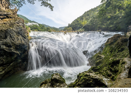 黃果樹 黃果樹 108234593