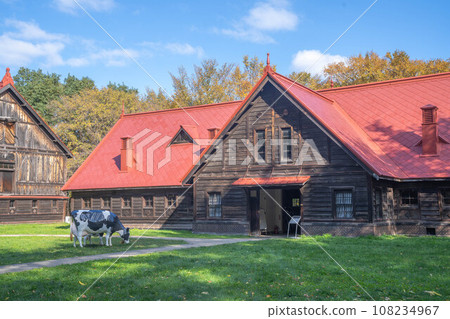 北海道大學的秋葉 北海道大學的秋葉 108234967