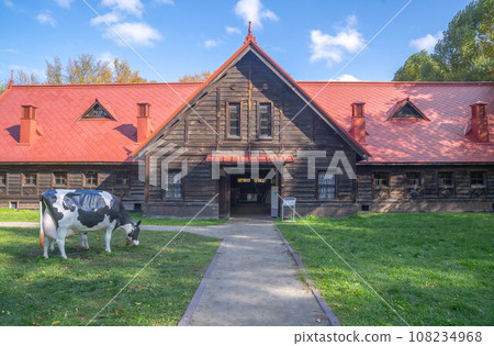 Autumn leaves of Hokkaido University 108234968