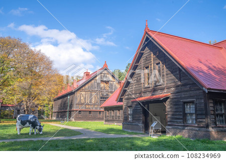 Autumn leaves of Hokkaido University 108234969