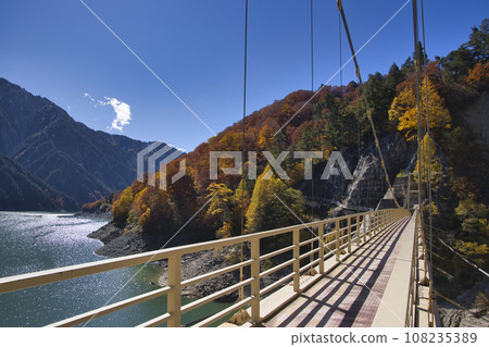 Kurobe Dam (Kuro 4) Kampa Valley suspension bridge and beautiful autumn leaves Tateyama Town, Toyama Prefecture 108235389