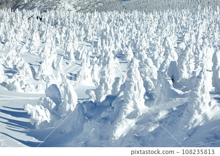 Yamagata Zao Ski Resort: Spectacular view of the frost-covered fields from the top of Mt. Jizo Yamagata Zao Ski Resort: Spectacular view of the frost-covered fields from the top of Mt. Jizo 108235813