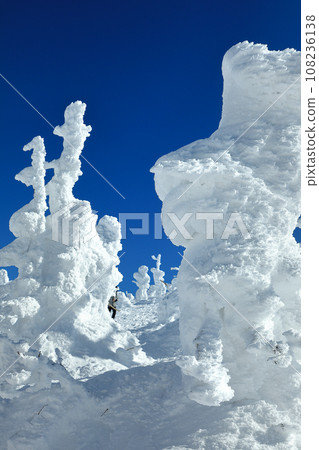山形藏王滑雪場纜車站 地藏山頂的霜樹 108236138