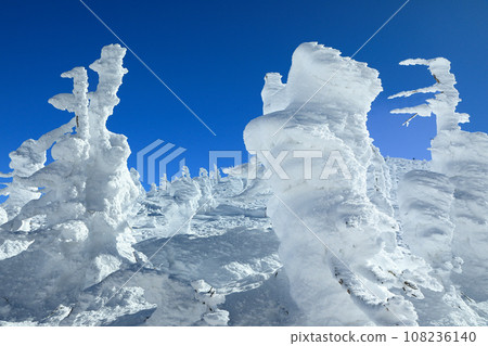 山形藏王滑雪場纜車站 地藏山頂的霜樹 108236140