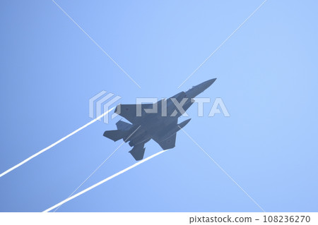 飛翔在藍天的藍衝動<Air Festa Hamamatsu> 108236270