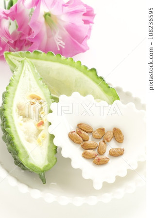 Bitter gourd seeds Bitter gourd seeds 108236595