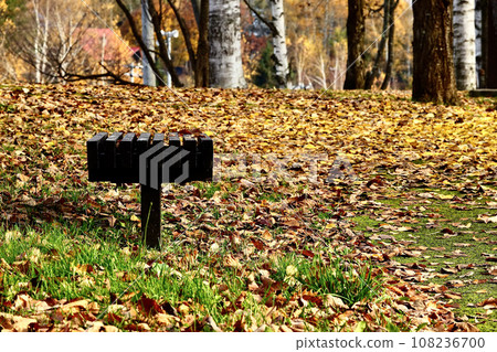 Bench in a park in late autumn with fallen leaves 108236700