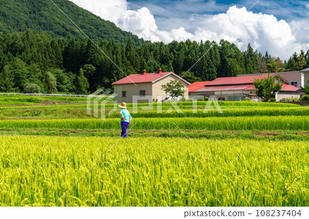 [Fukushima Prefecture] Countryside scenery/Summer Inawashiro 108237404