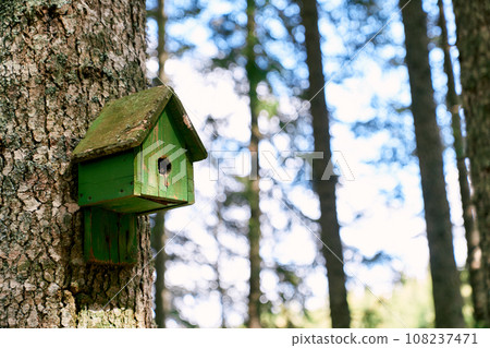 Green birdhouse hanging on a tree in the forest Green birdhouse hanging on a tree in the forest 108237471