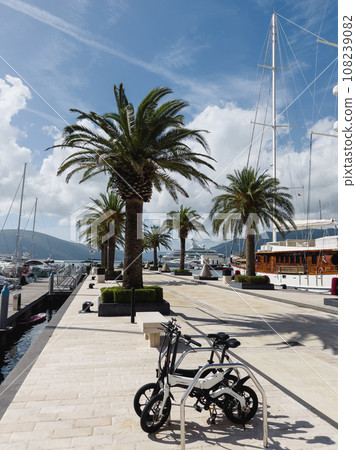 Electric bikes parked on a pier with green palm trees and moored yachts 108239082