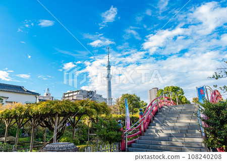 Kameido Tenjin Taiko Bridge with blue sky and Tokyo Skytree background 108240208