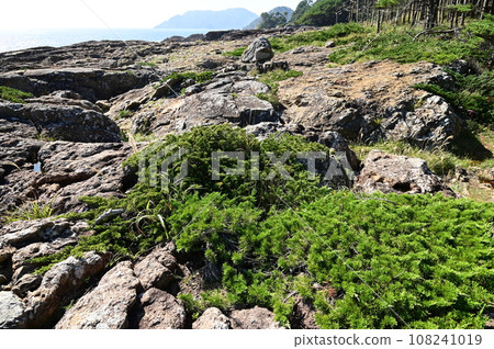 戶都崎,本州最東端 戶都崎,本州最東端 108241019