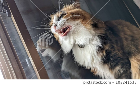Yawning moment Yawning moment 108241535