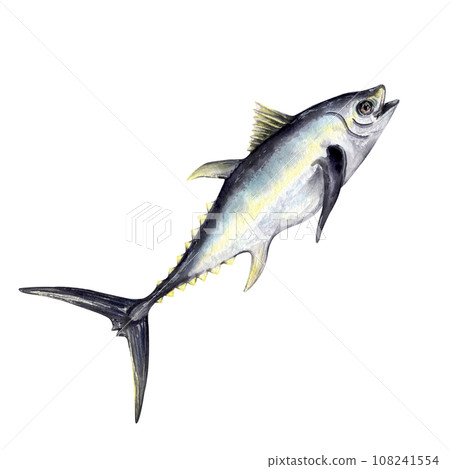 tuna fish watercolor 108241554