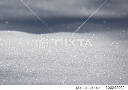 閃閃發光的雪花 108242011