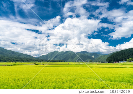 [Fukushima Prefecture] Countryside scenery/Summer Inawashiro 108242039