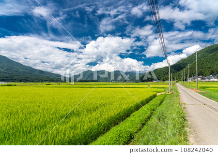 [Fukushima Prefecture] Countryside scenery/Summer Inawashiro 108242040