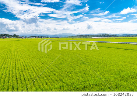 [Fukushima Prefecture] Countryside scenery/Summer Inawashiro 108242053