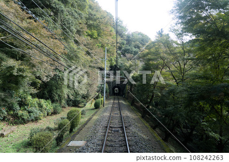 railway line surrounded by trees 108242263
