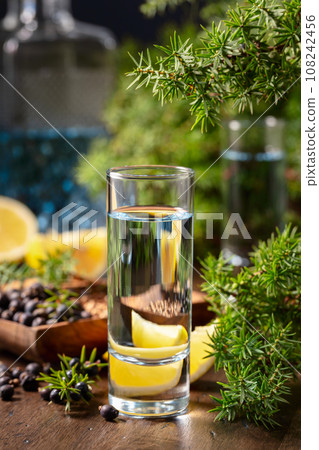 Gin with ingredients on an old wooden table. 108242456