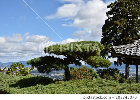 Yuryu no Matsu, Zenpoji Temple 108243070