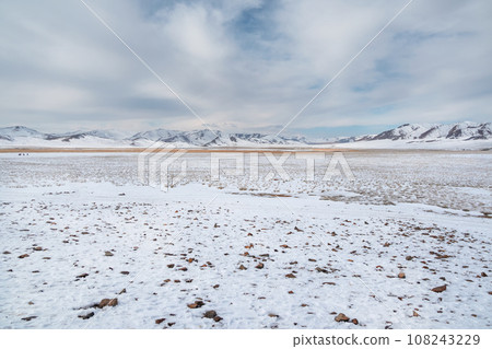 Snow-covered steppe with mountains on the horizon. Mountain pasture covered with snow. Bushes of autumn grass stick out from under the snow. 108243229