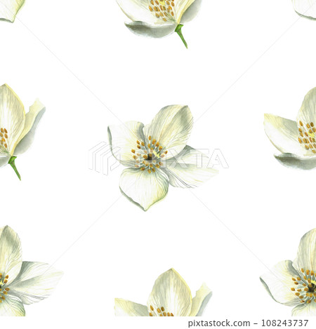 bloom, blossom, flower 108243737
