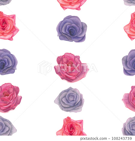 Watercolor illustration of pink and lilac roses - seamless pattern.Isolated on a white background, hand drawn 108243739