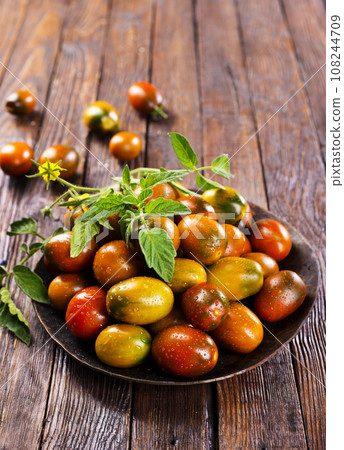 The harvest of assorted tomatoes, banner. Colorful organic tomatoes on a large dish. Tomatoes different varieties. Top view The harvest of assorted tomatoes, banner. Colorful organic tomatoes on a large dish. Tomatoes different varieties. Top view 108244709