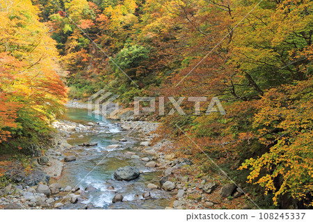 錦秋的秋山鄉，前倉橋下游的中津川溪谷 108245337