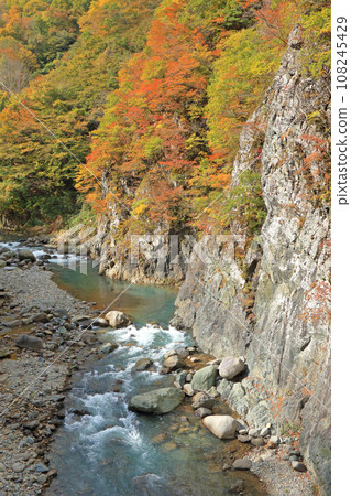 Kinshu's Akiyama-go, Nakatsugawa Valley near Maekura Bridge Kinshu's Akiyama-go, Nakatsugawa Valley near Maekura Bridge 108245429