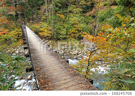 Autumn in Akiyama-go, Mikura Bridge in Kinshu - Stock Photo [108245708 ...