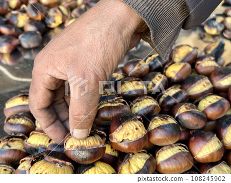 hand picking roasted chestnuts hand picking roasted chestnuts 108245902