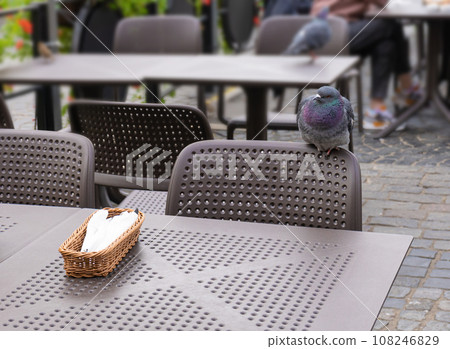 Street Restaurant Table, Empty Cafe Tables, Bar Terrace, Outdoor Restaurants, Outside Trattoria 108246829