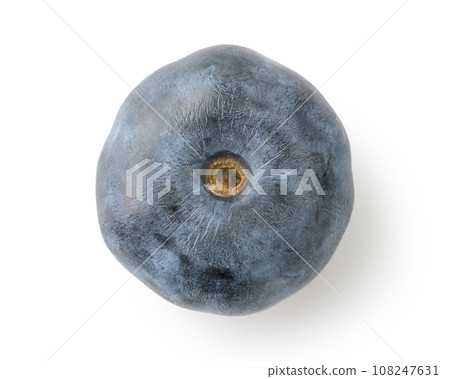 Big blueberry isolated on white background 108247631