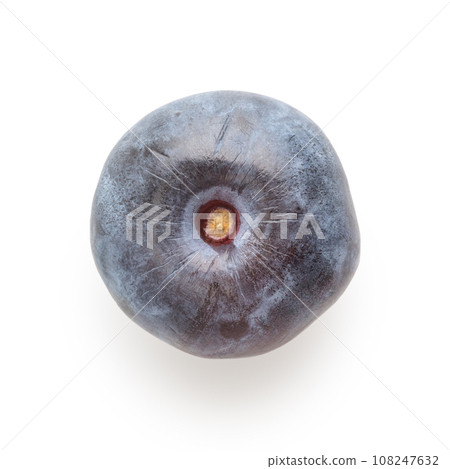 Big blueberry isolated on white background Big blueberry isolated on white background 108247632