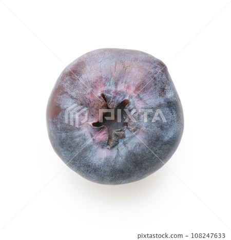 Big blueberry isolated on white background Big blueberry isolated on white background 108247633