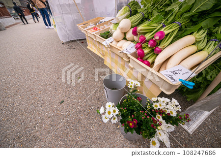 231026 宮川早市 s086 231026 宮川早市 s086 108247686