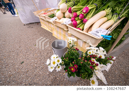 231026 Miyagawa Morning Market s082 108247687