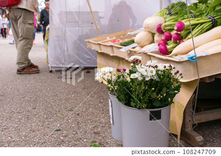 231026 宮川早市 z011 108247709