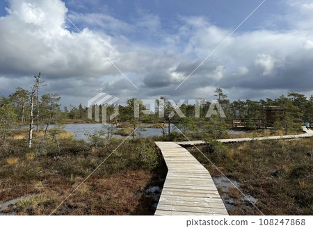 A wooden path in the Soomaa National Park in Estonia among the forest and bog on a clear day A wooden path in the Soomaa National Park in Estonia among the forest and bog on a clear day 108247868