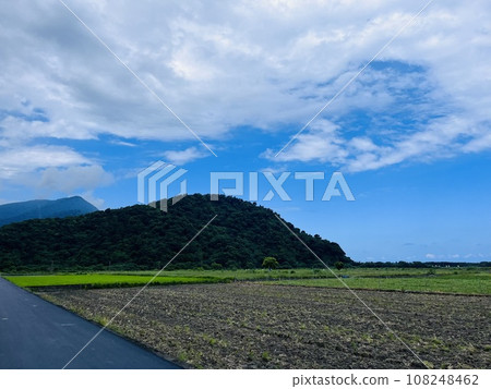 Rice field Rice field 108248462