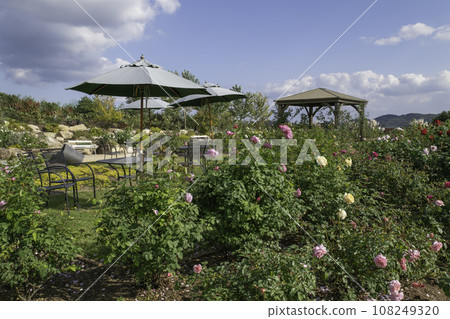 Sera Kogen Flower Forest Rose Garden Sera Kogen Flower Forest Rose Garden 108249320